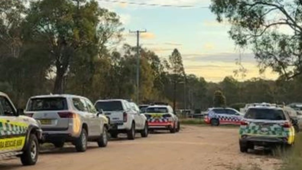 Gran arrested after two boys found dead at home